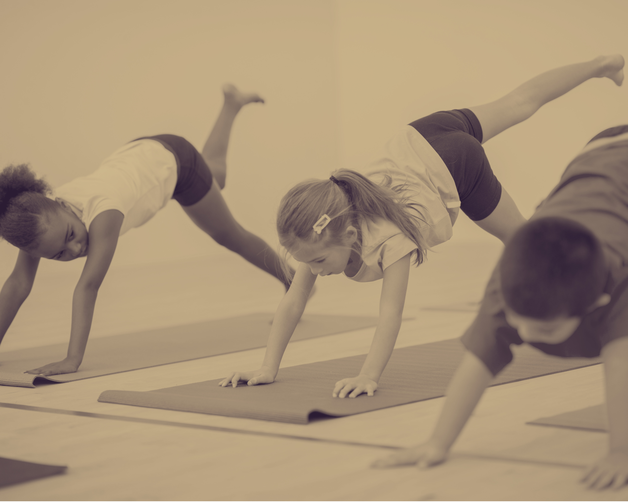 Ateliers & Stages